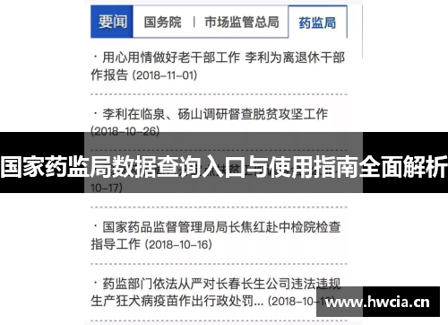 国家药监局数据查询入口与使用指南全面解析